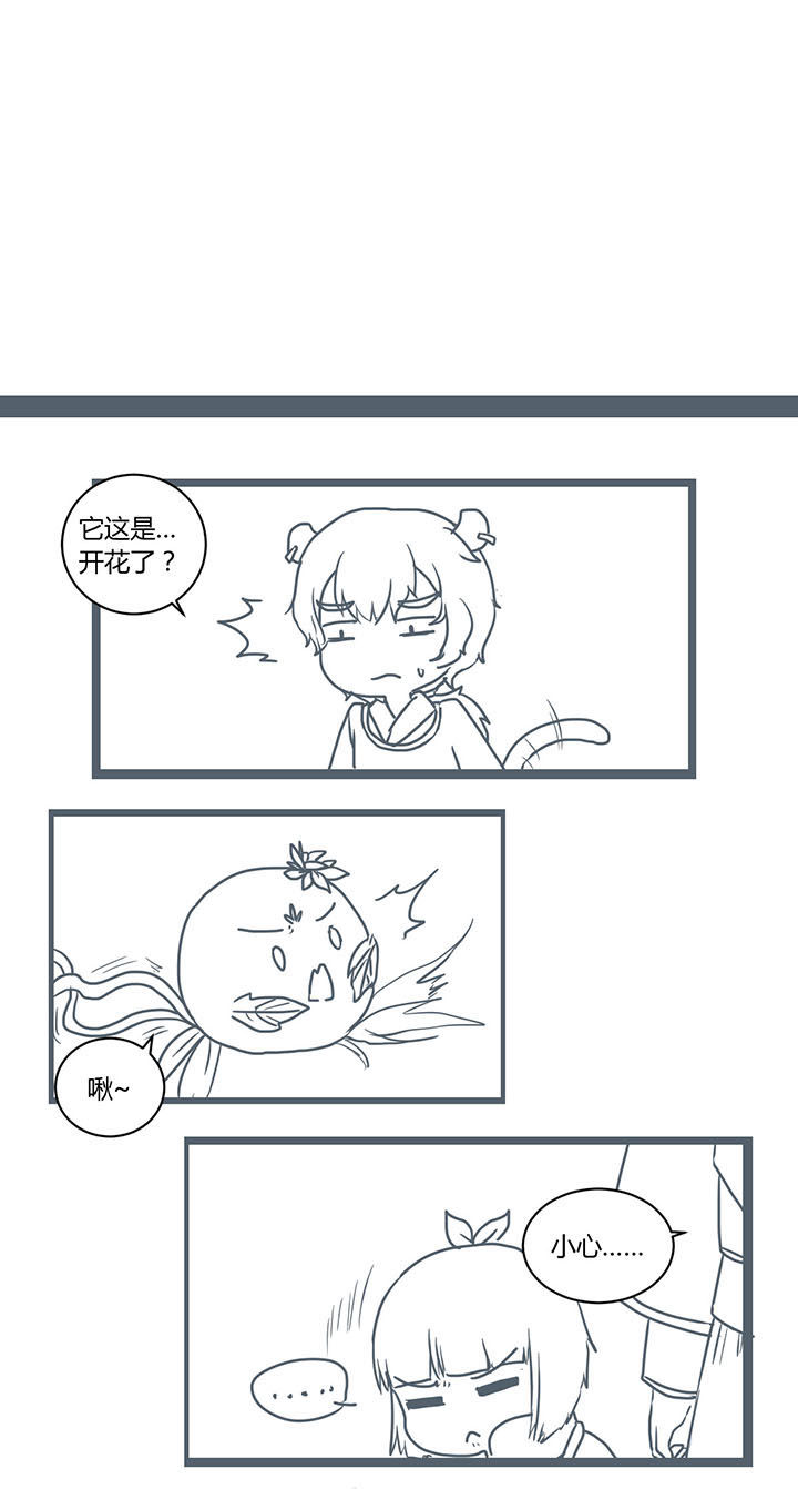 第297章：2