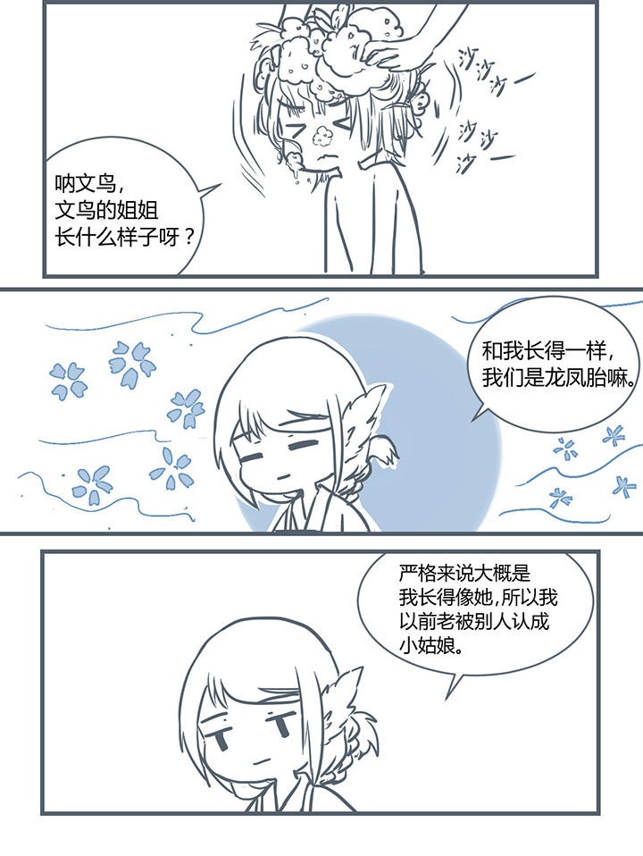 第203章：5