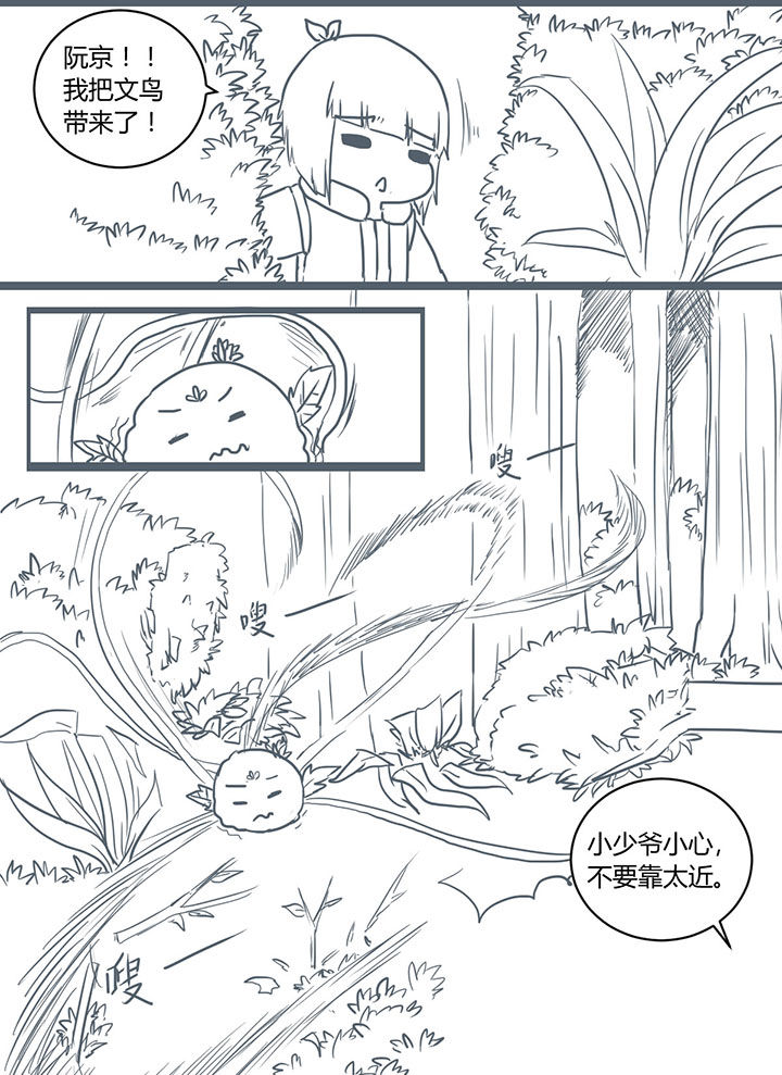 第295章：1