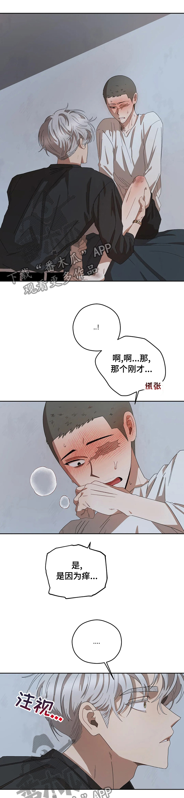 第56章：一直撩我8