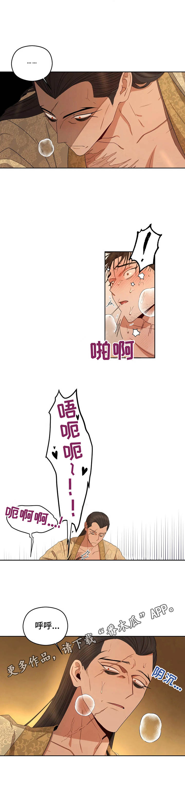 第17章：任务5