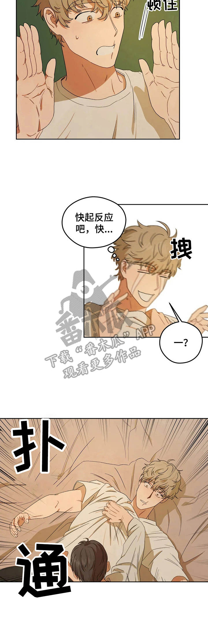 第4章：老实躺着4