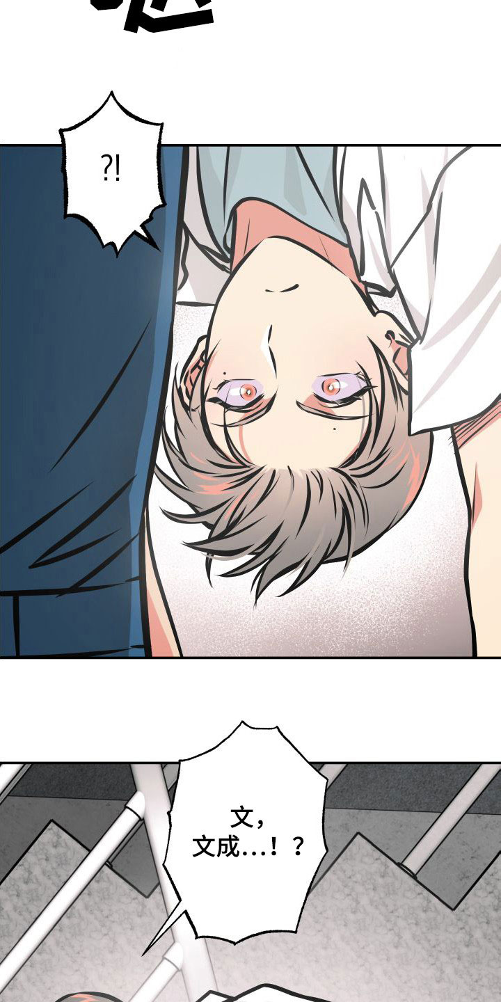 第28章：一箭双雕15