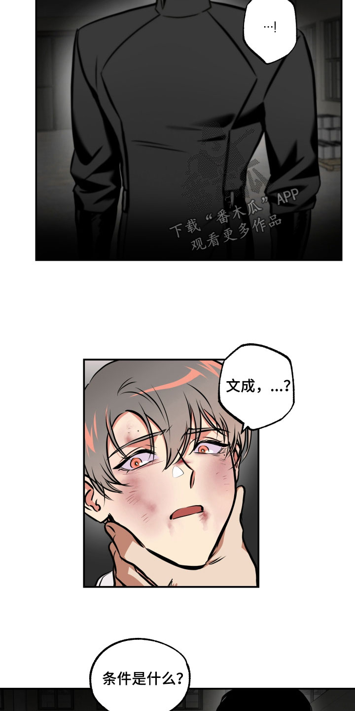 第58章：条件8