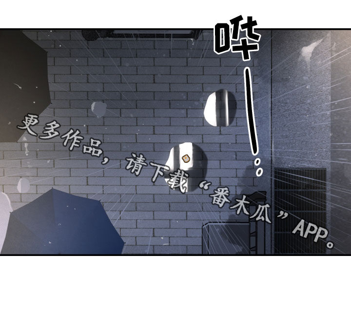 第55章：寂静18