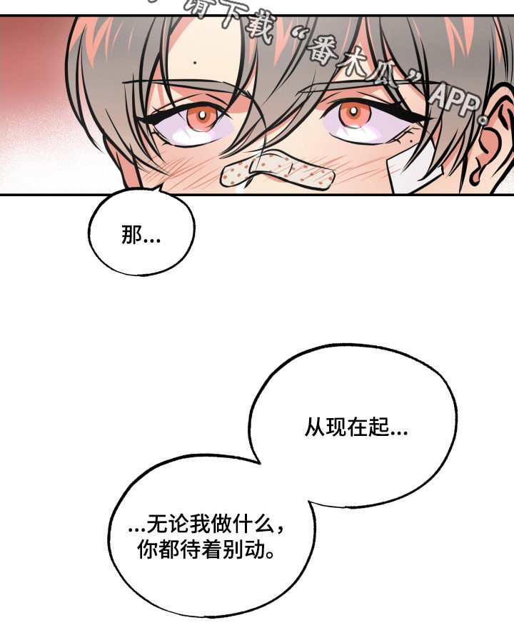 第61章：交往21