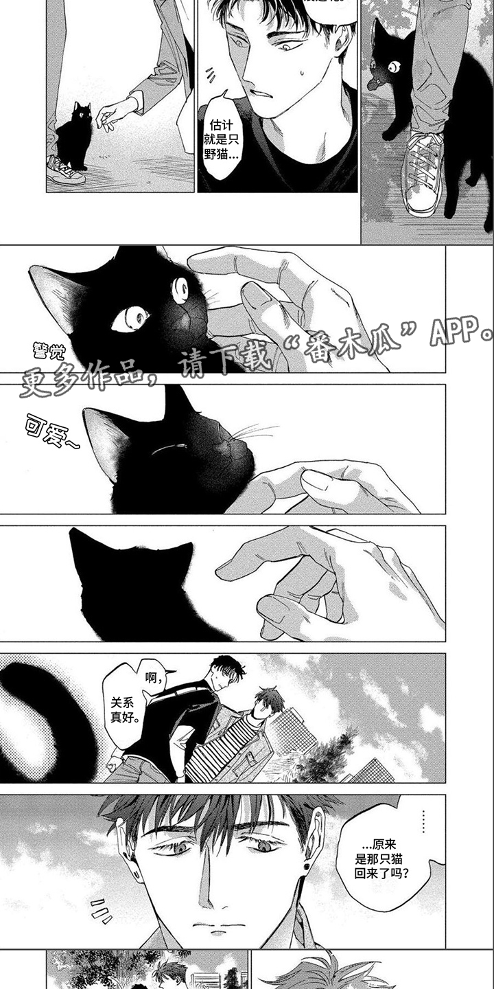 第22章：野猫4