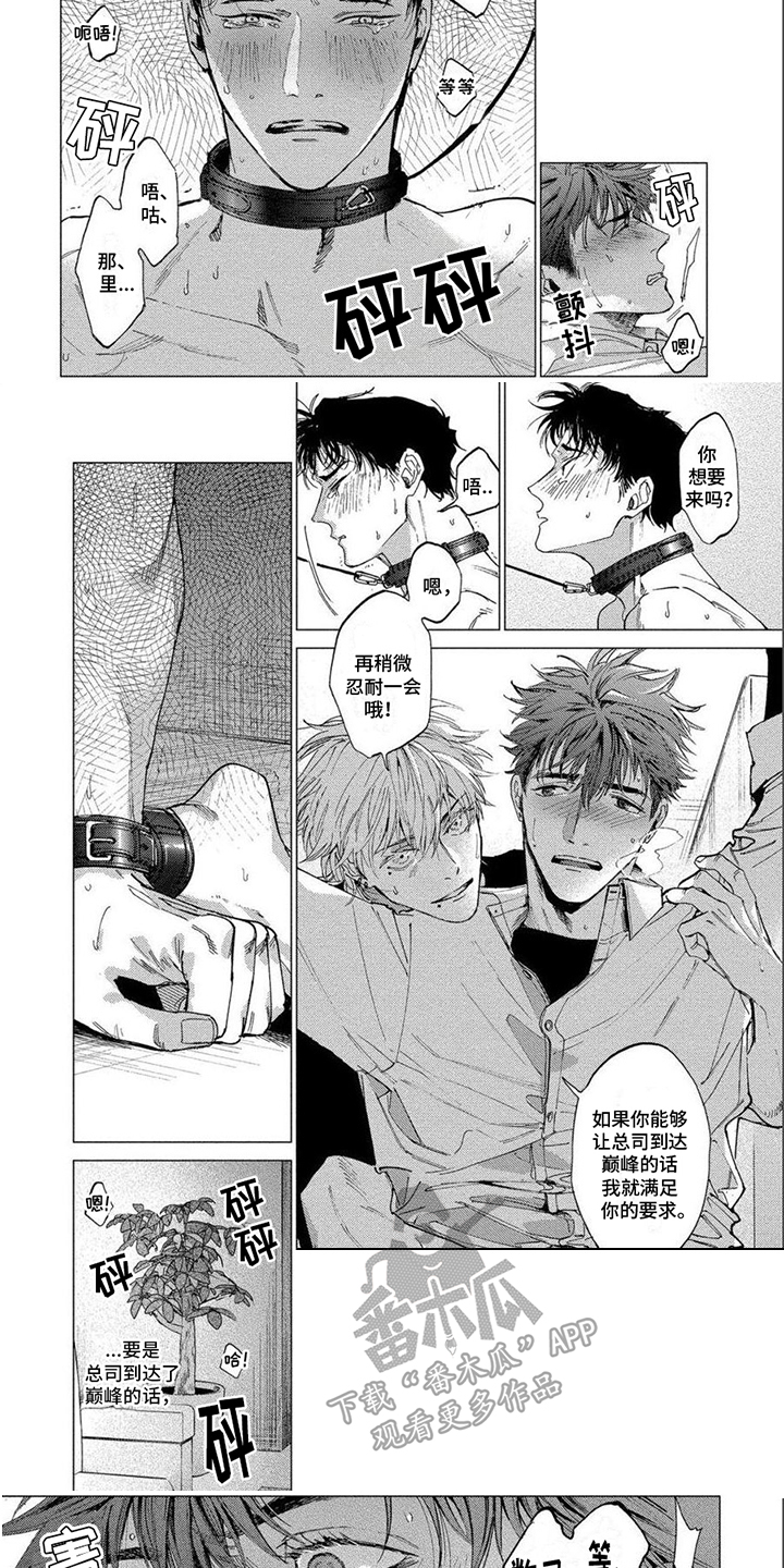 第24章：忍耐5