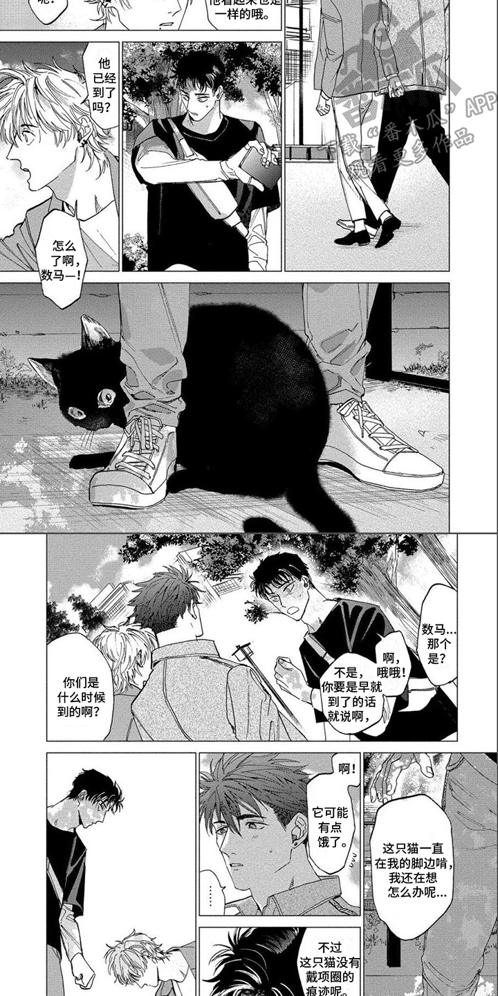 第22章：野猫3