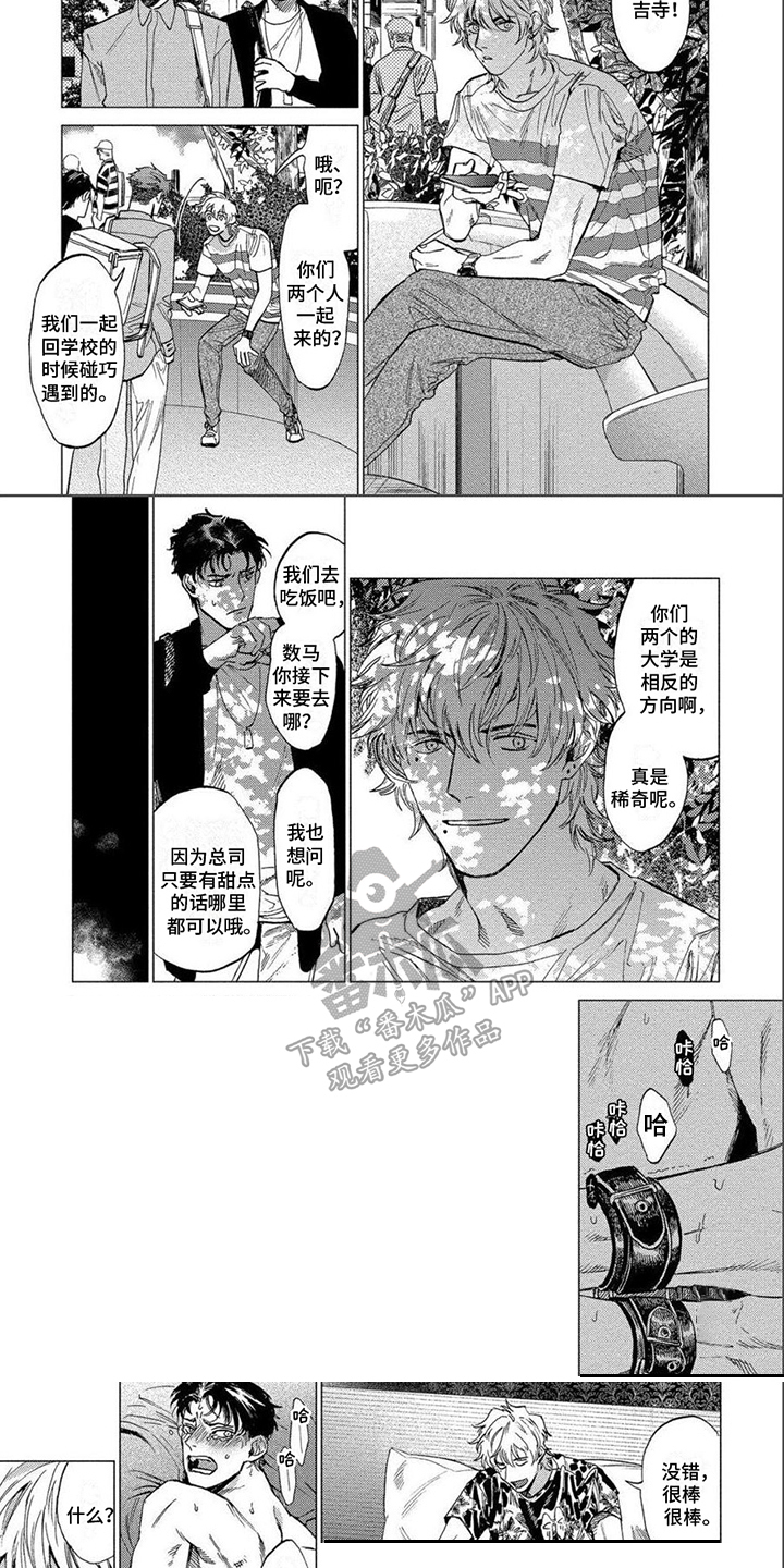第4章：情绪波动5