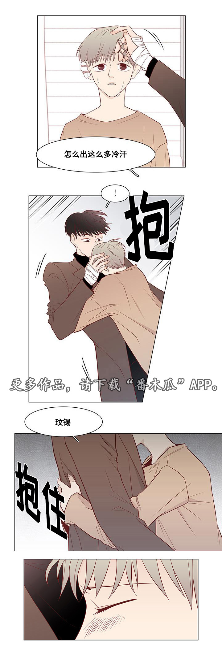 第11章：试探14