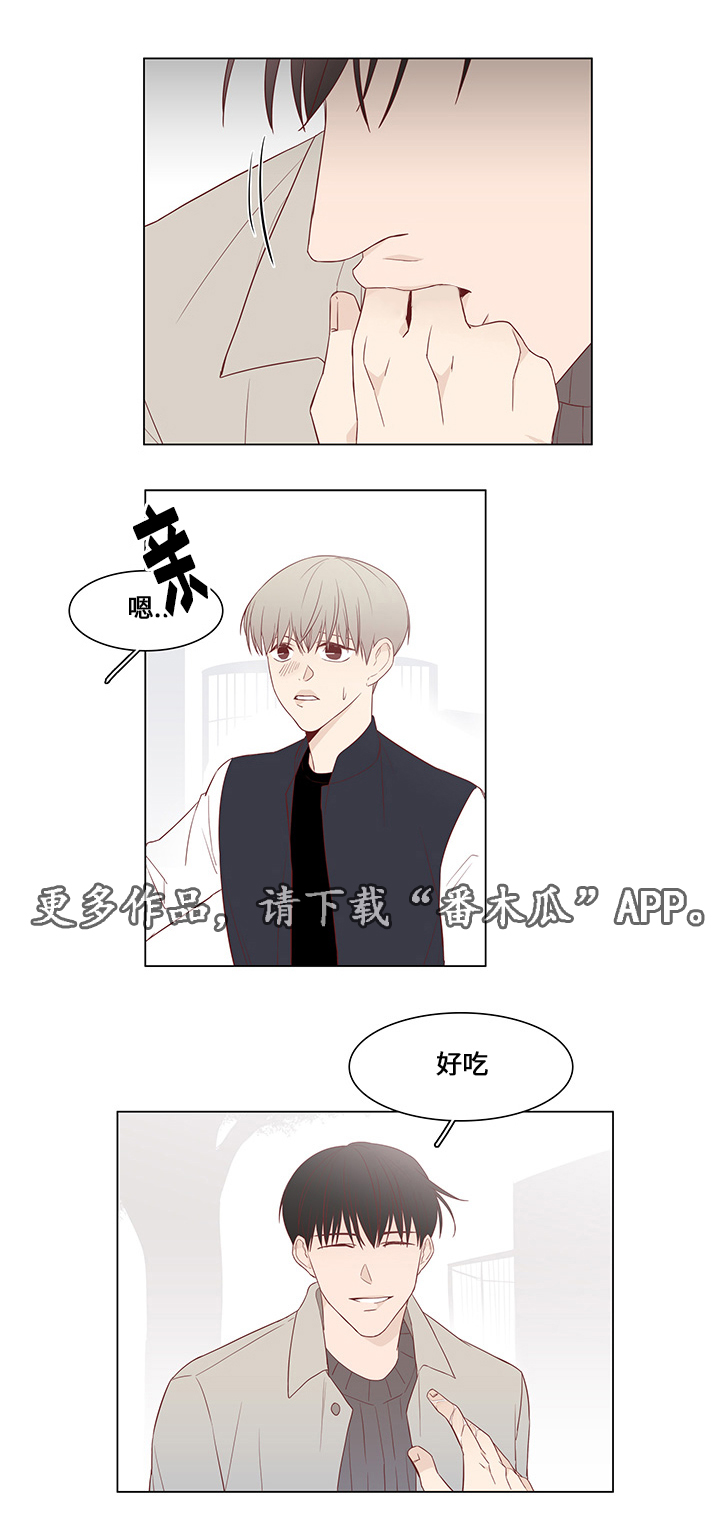 第31章：未来打算8