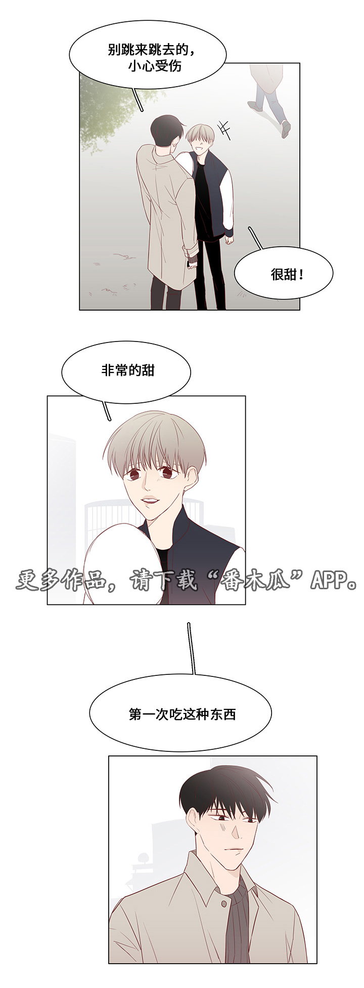 第31章：未来打算6