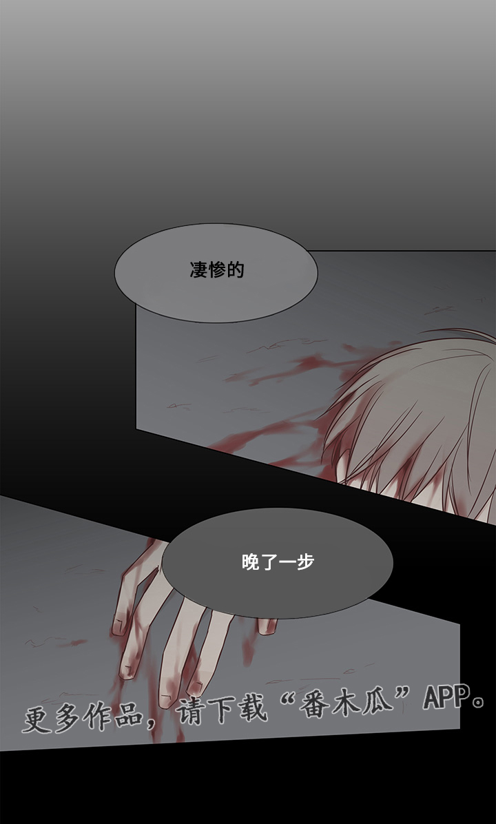 第34章：惊喜14