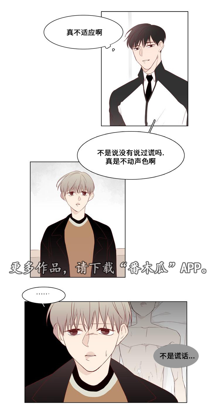 第20章：谎言5