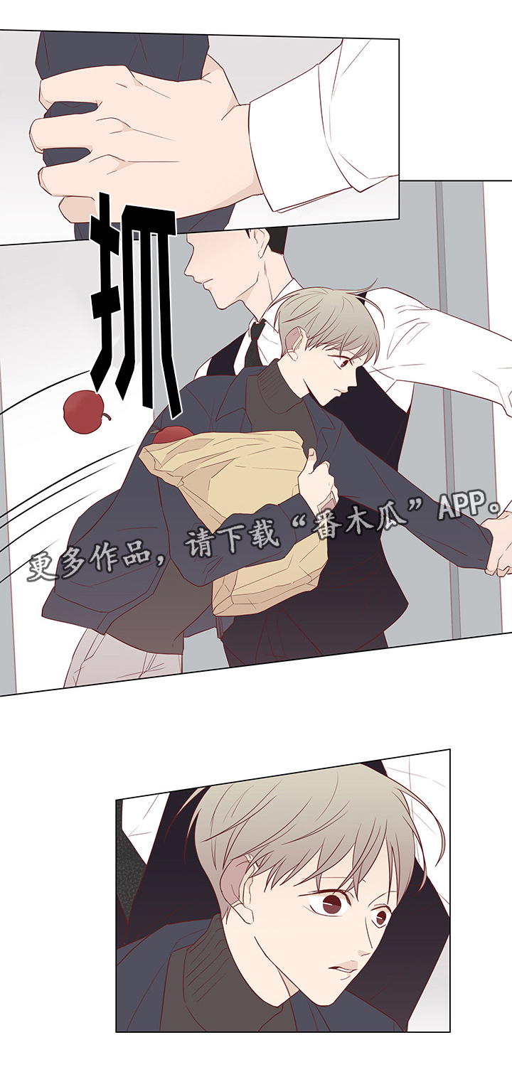 第27章：刺杀11