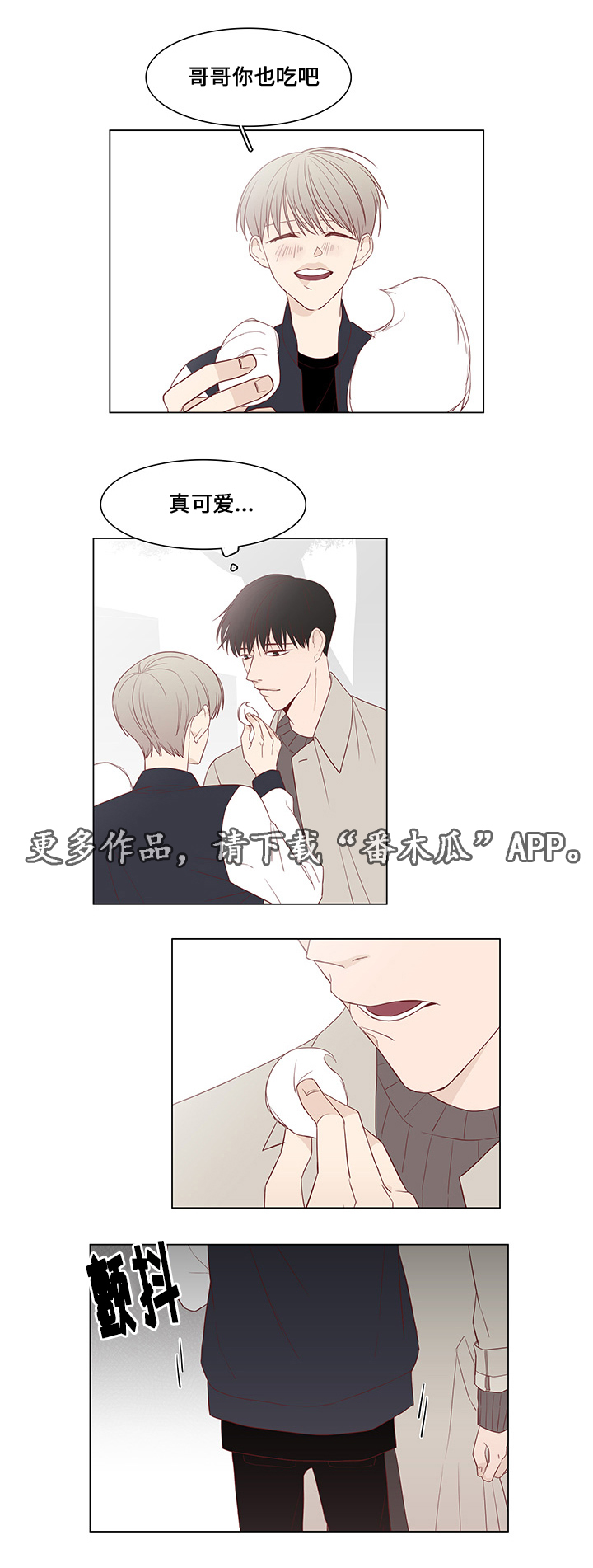 第31章：未来打算7