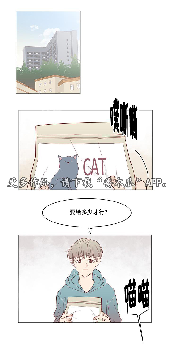 第13章：偶遇3