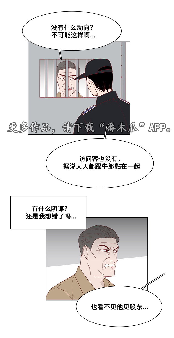 第31章：未来打算1