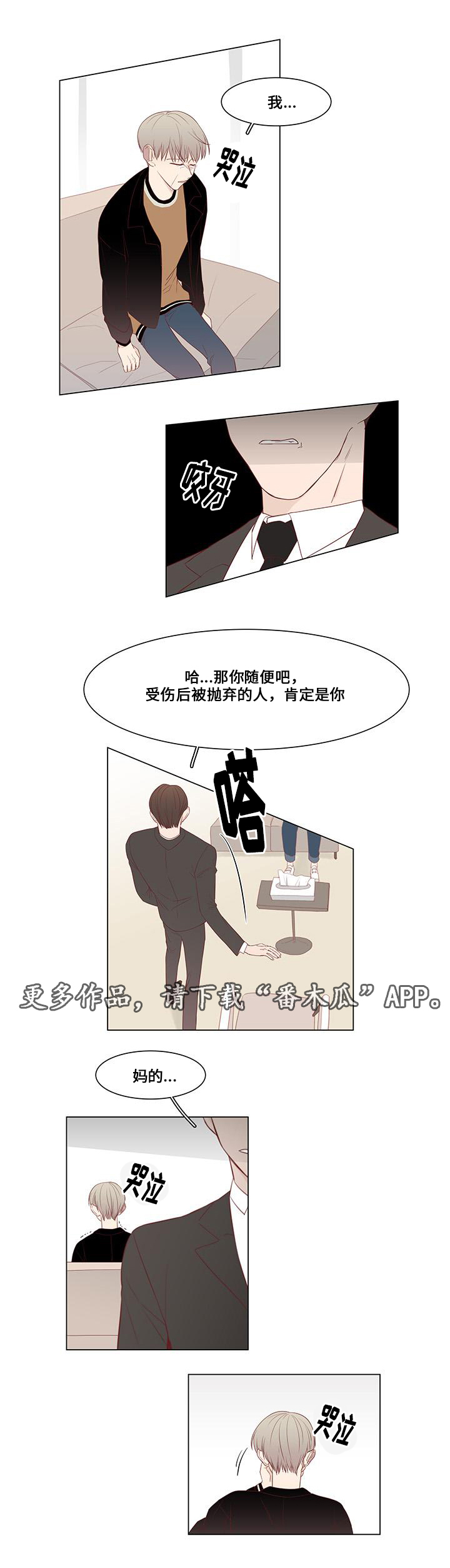 第19章：二手准备12