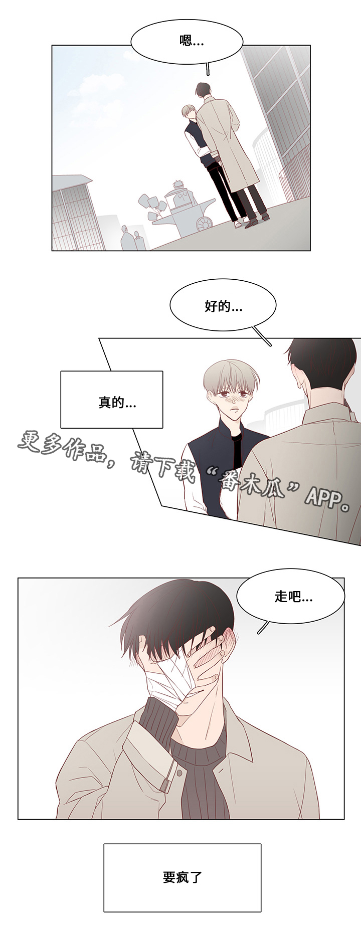 第31章：未来打算11