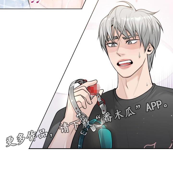 第16章：照片19