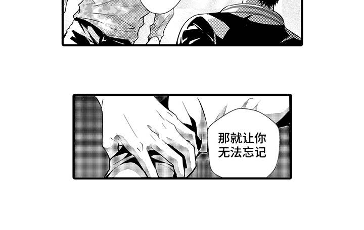 第8章：宠物17