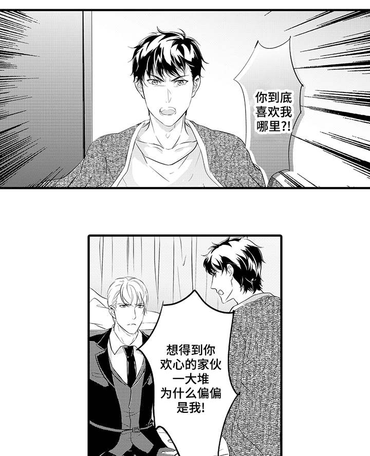 第22章：爱情4