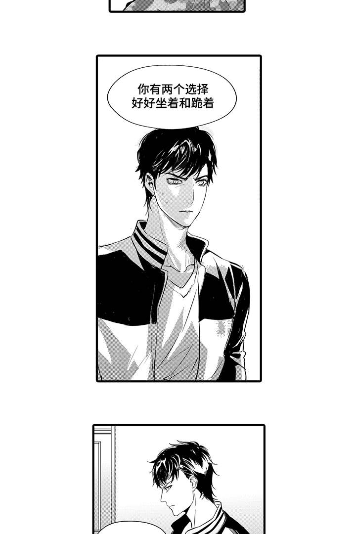 第8章：宠物10
