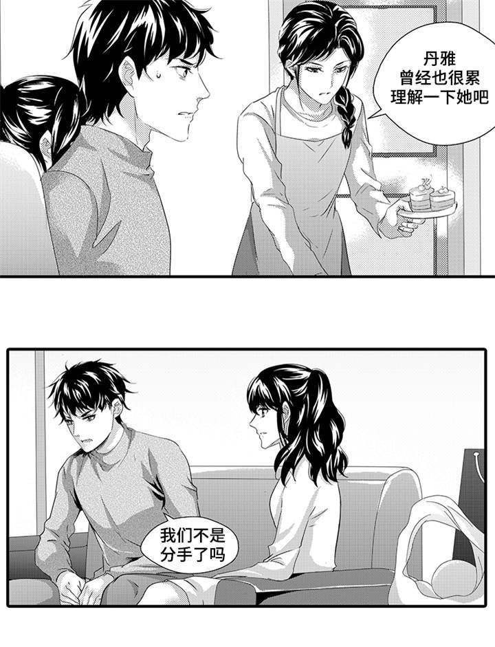 第41章：真相2