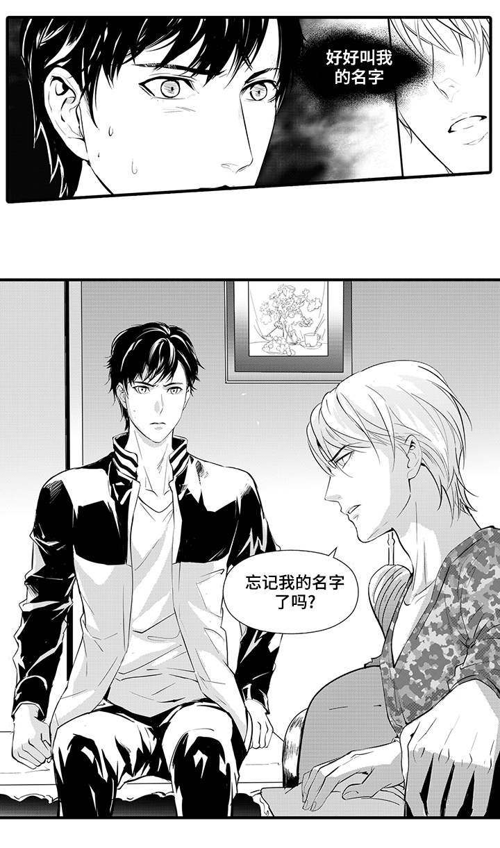 第8章：宠物15
