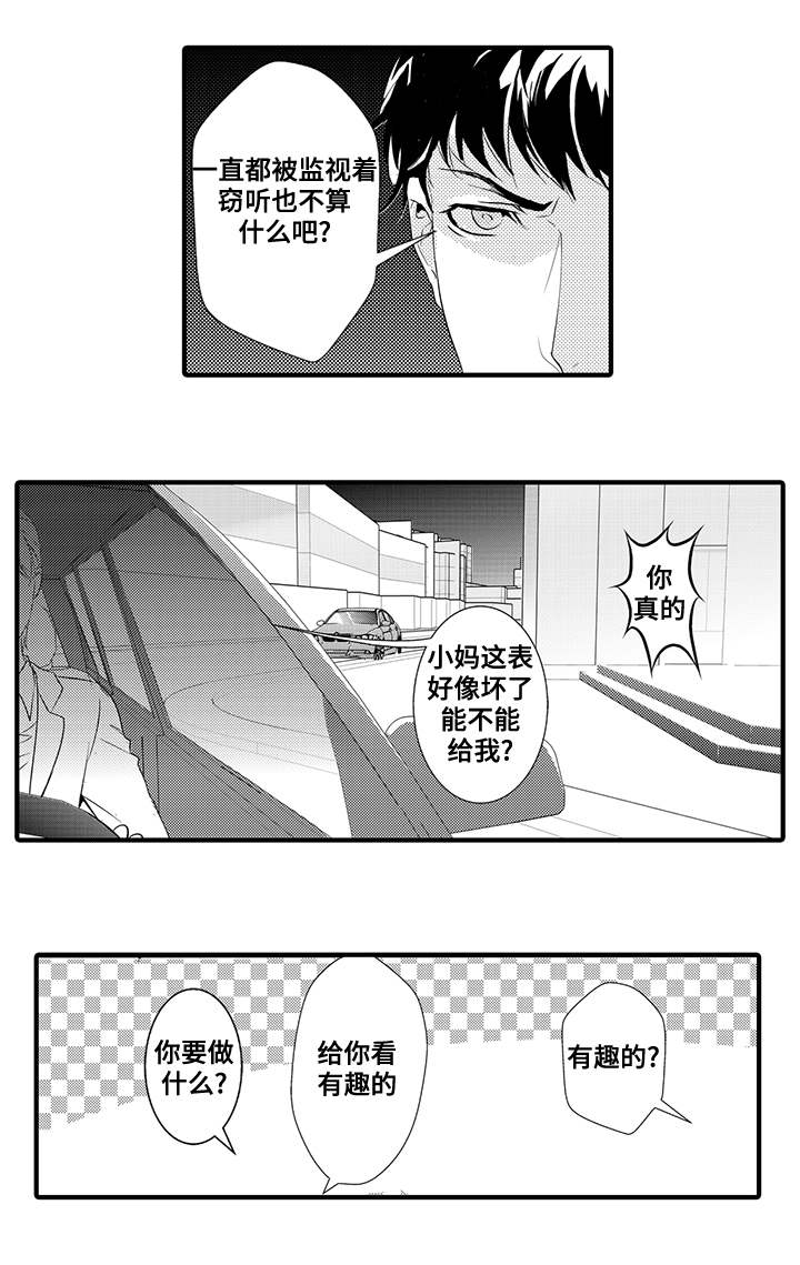 第29章：窃听装置11