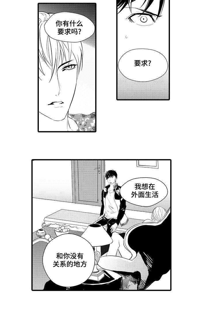 第8章：宠物13