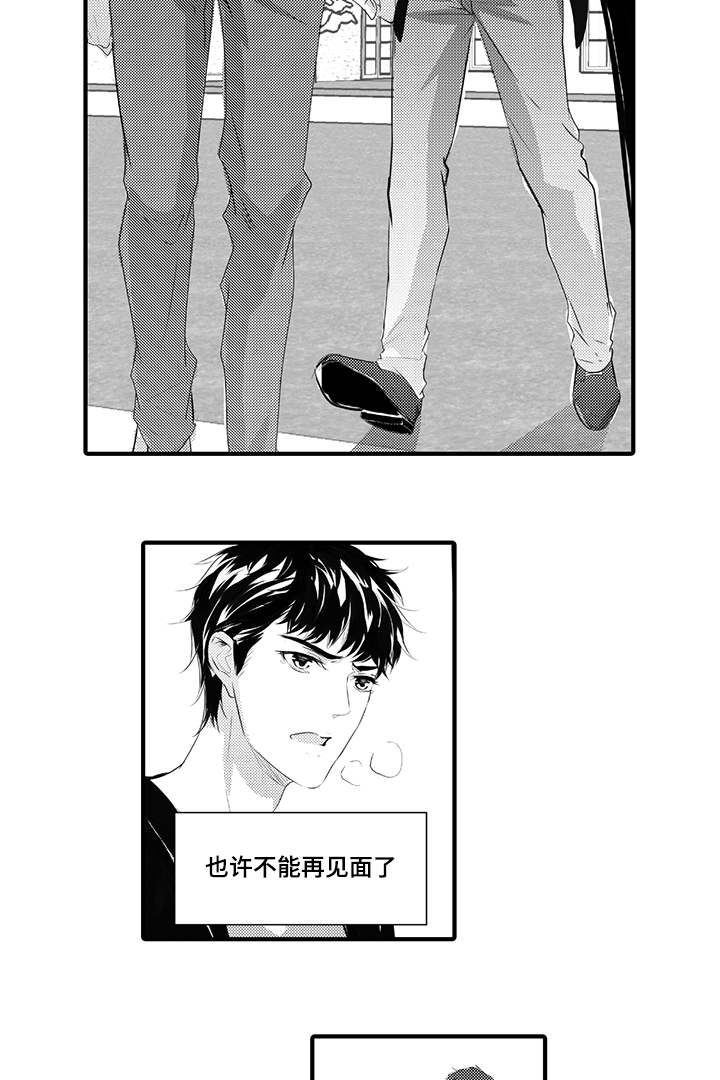 第40章：开始行动3