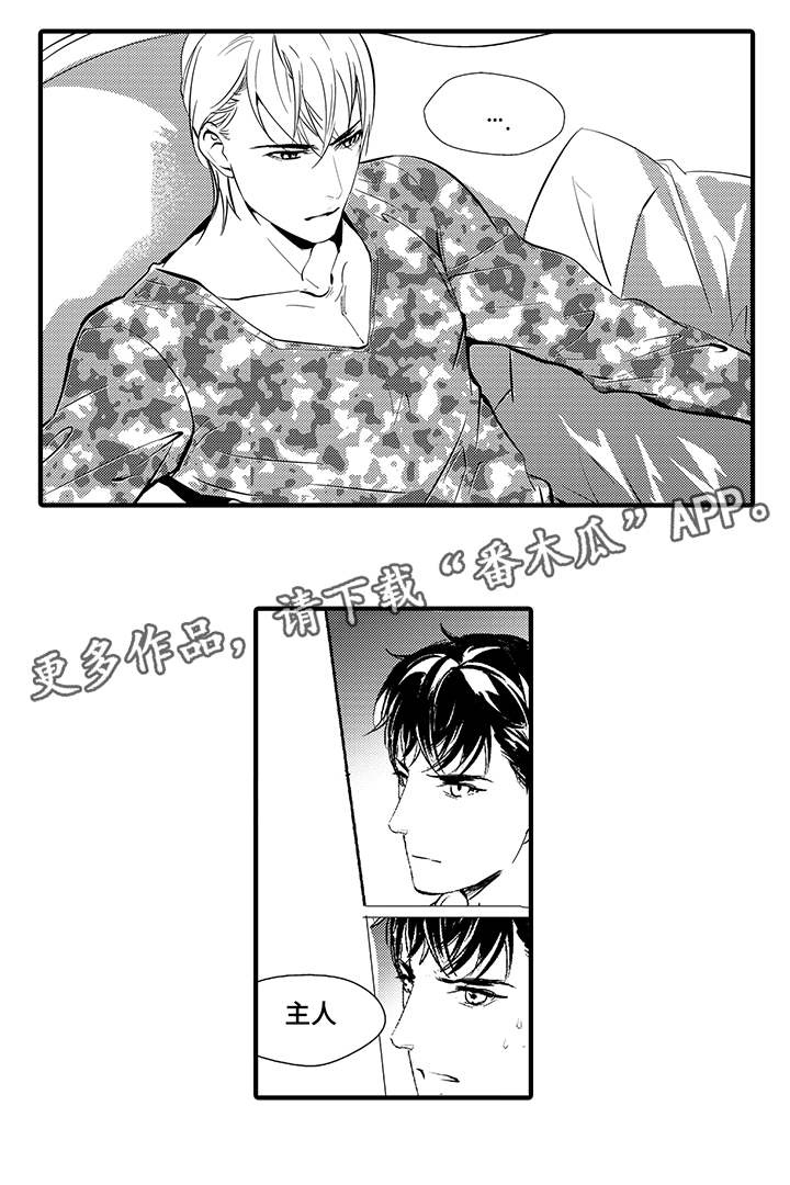 第8章：宠物14