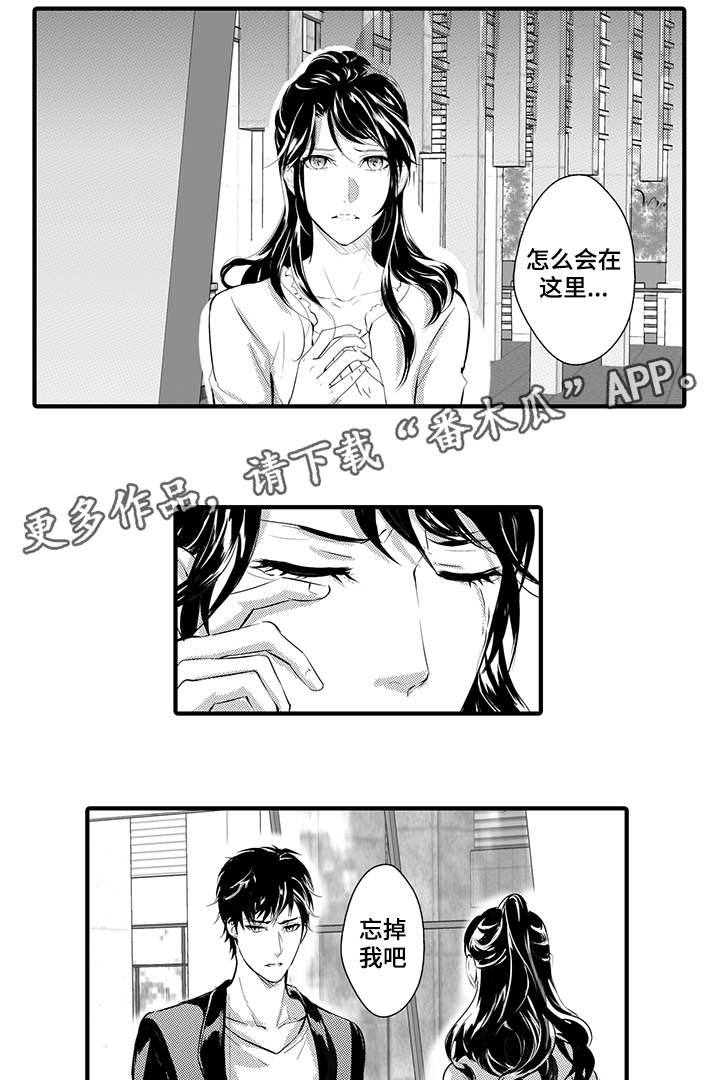 第10章：丹雅10