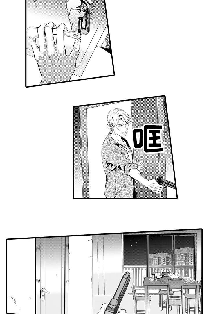 第19章：杀手15