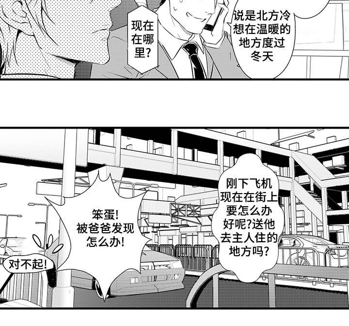 第13章：小妈3