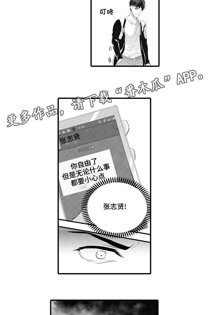 第40章：开始行动4