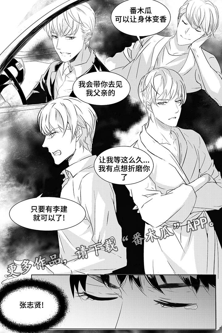 第40章：开始行动7