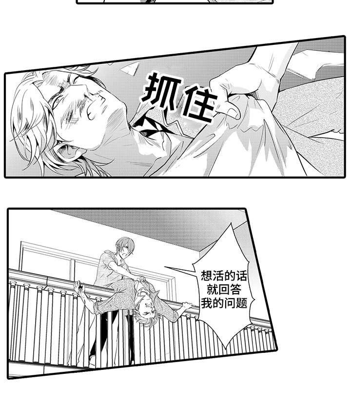 第20章：危机解除11