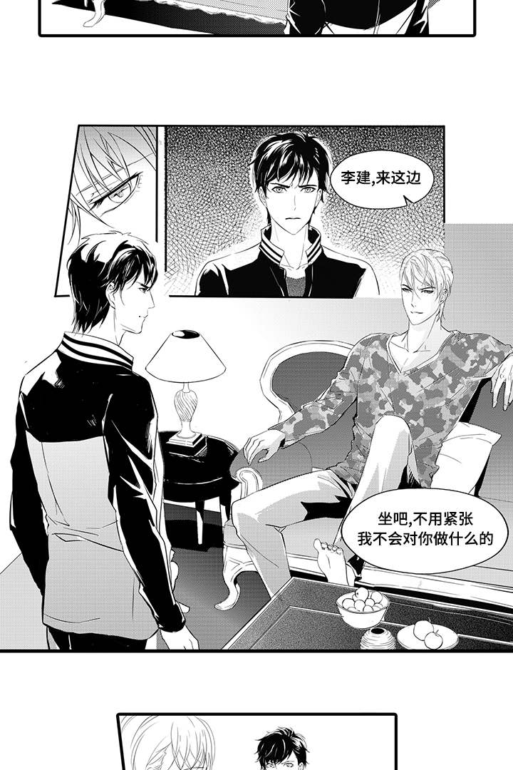 第8章：宠物4