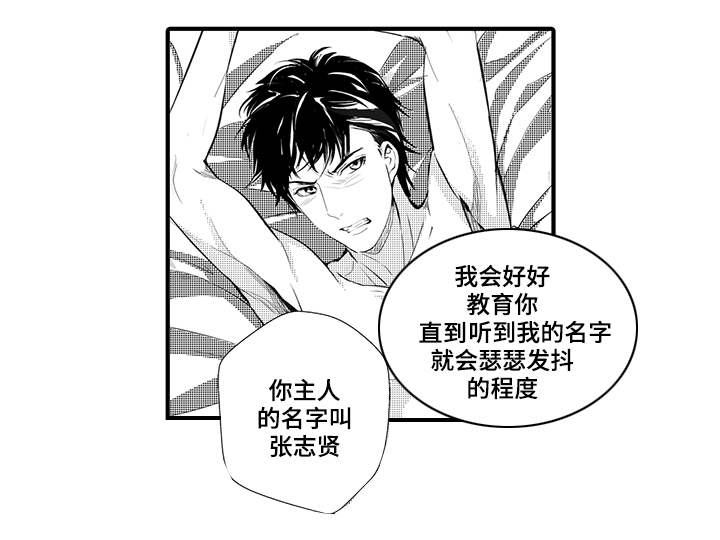 第8章：宠物20