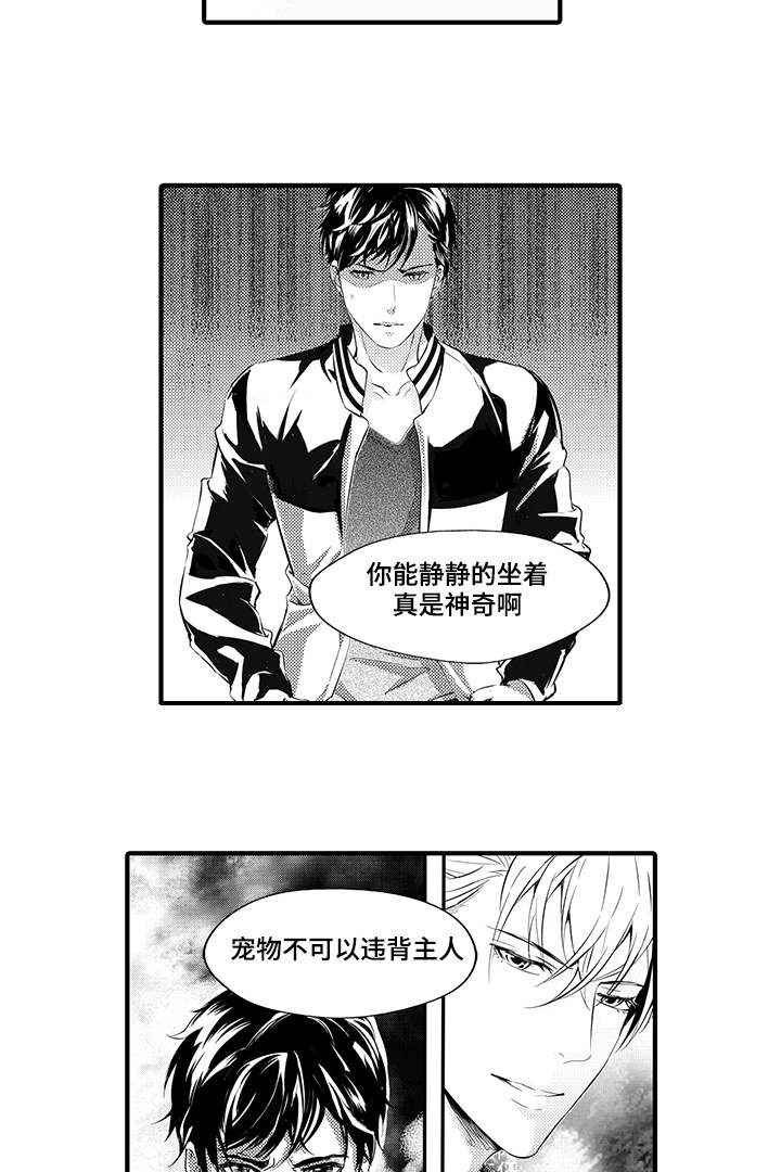 第8章：宠物7