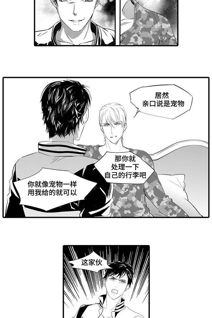 第8章：宠物8