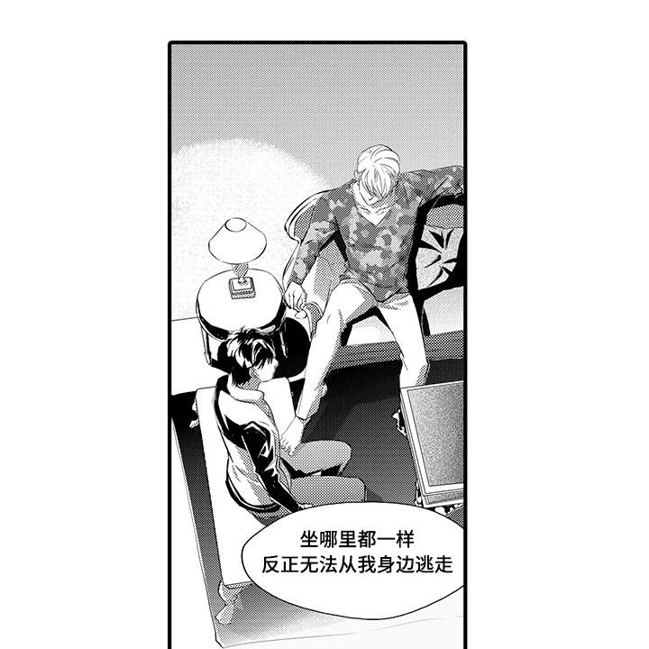 第8章：宠物6