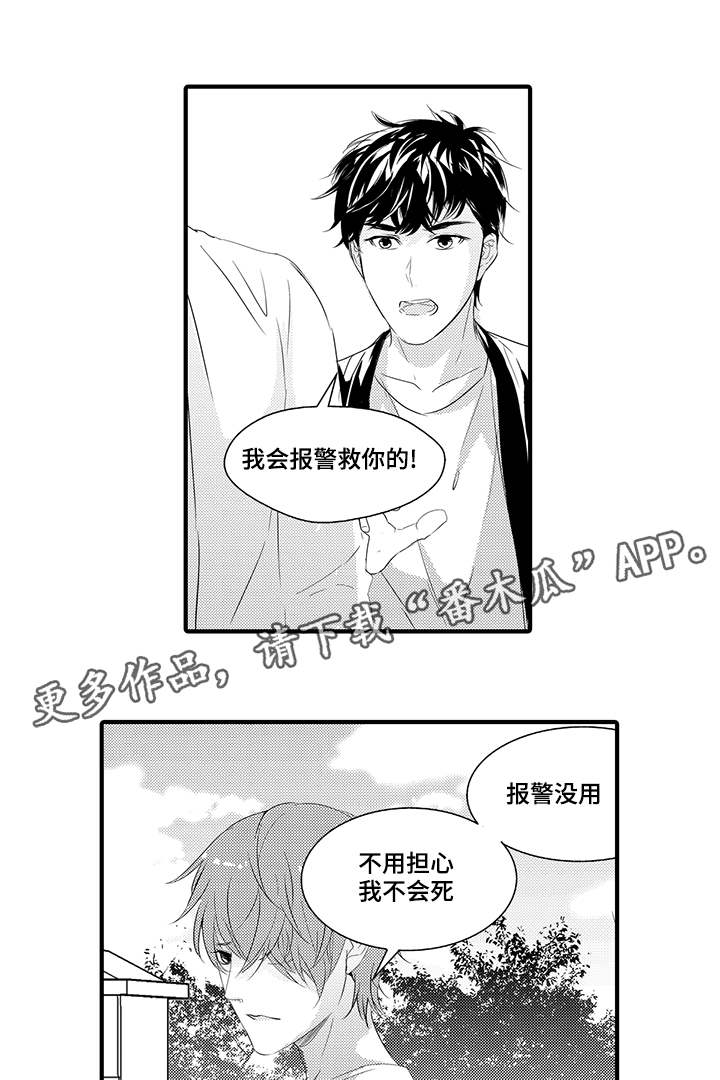 第40章：开始行动1