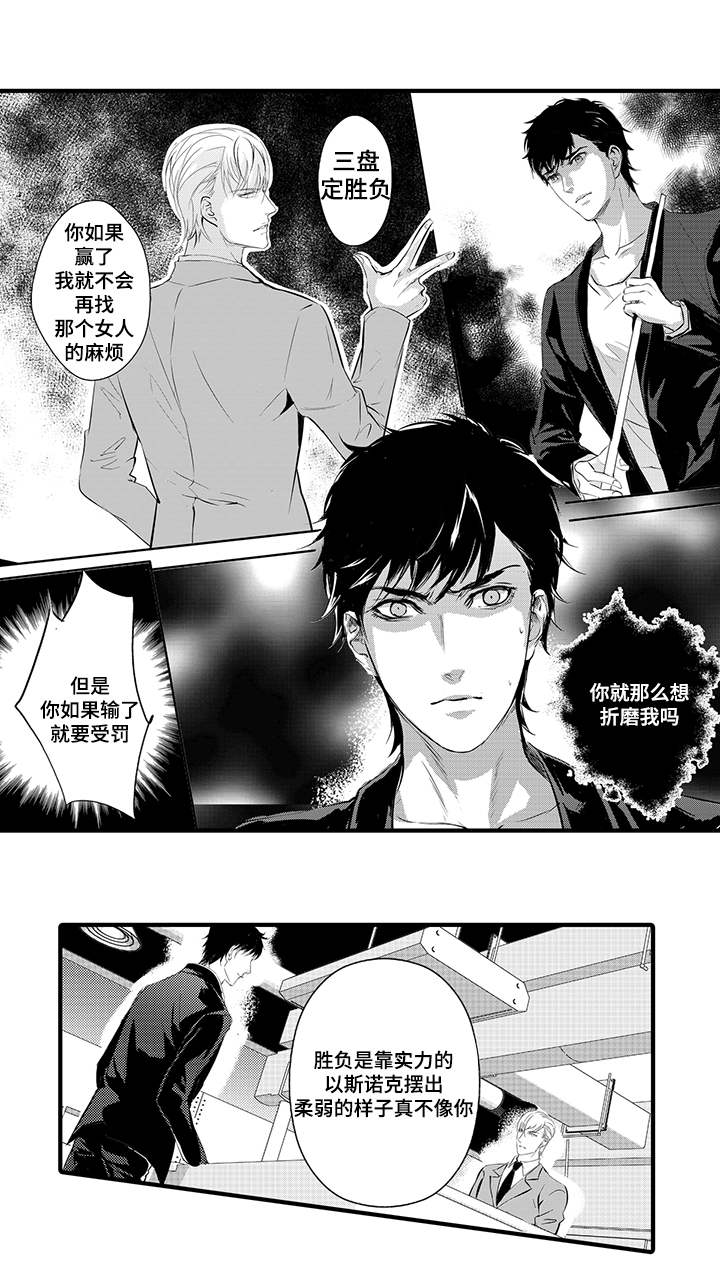 第11章：斯诺克10