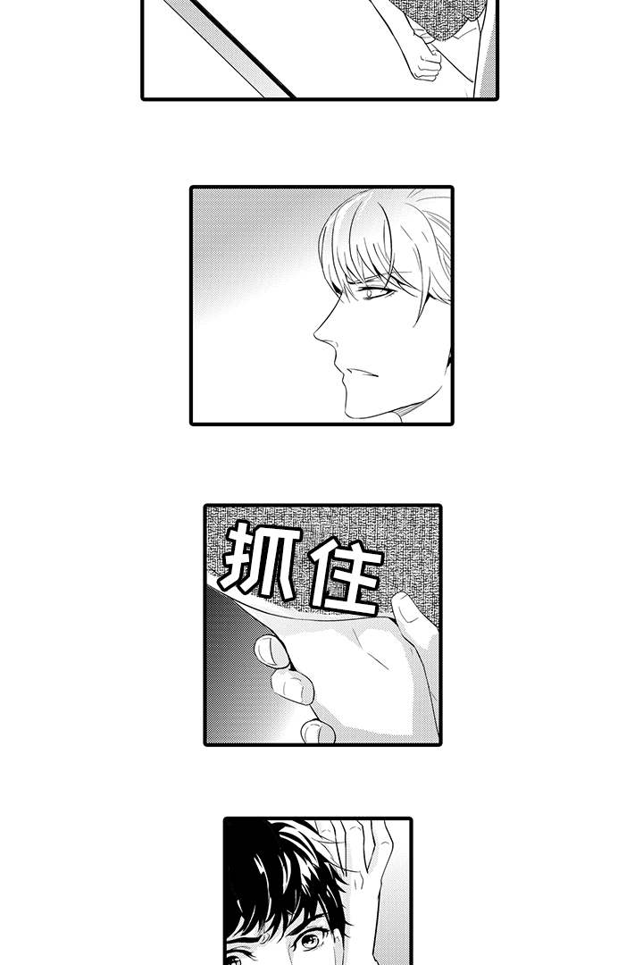 第22章：爱情10