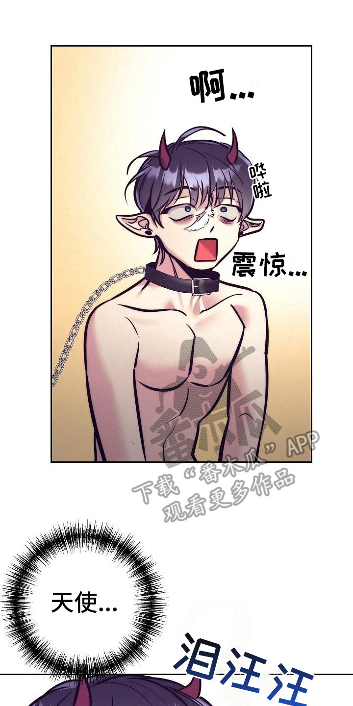 第36章：天使契约：天使16